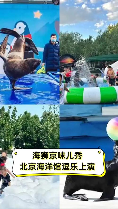 下载中心 第17页