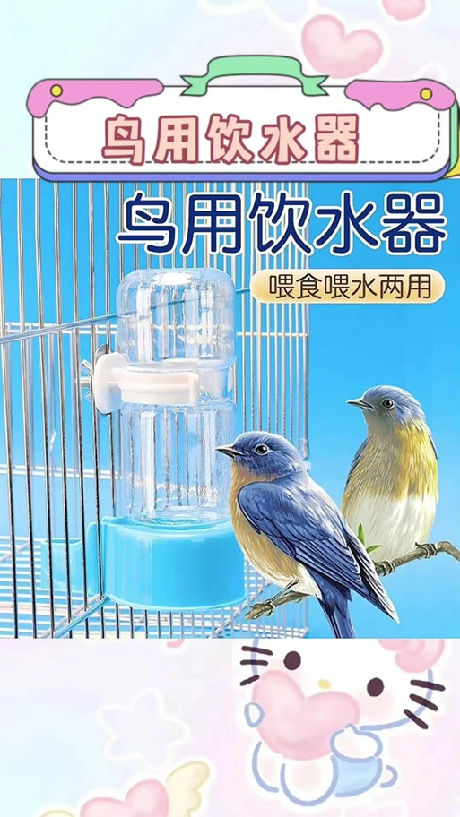 客户服务 第5页